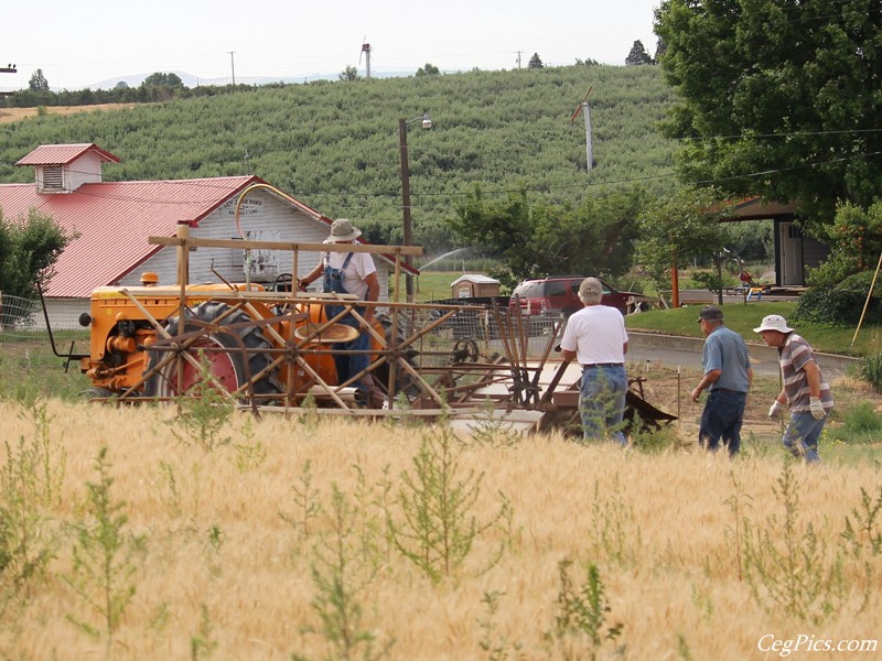 Wheat Binding