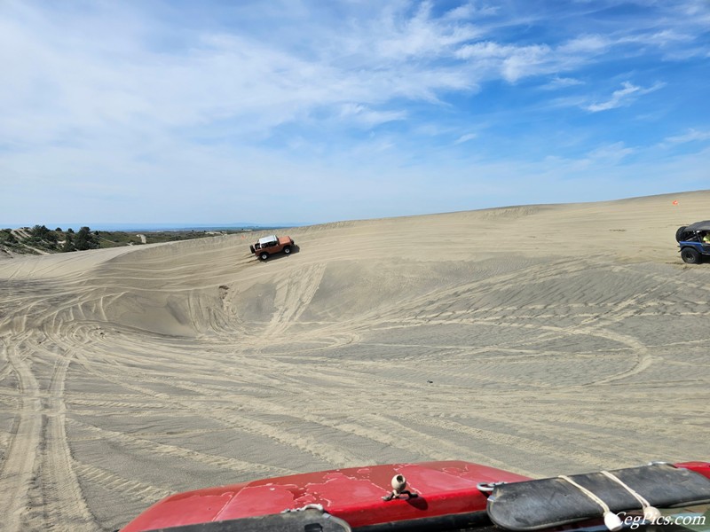 Juniper Dunes