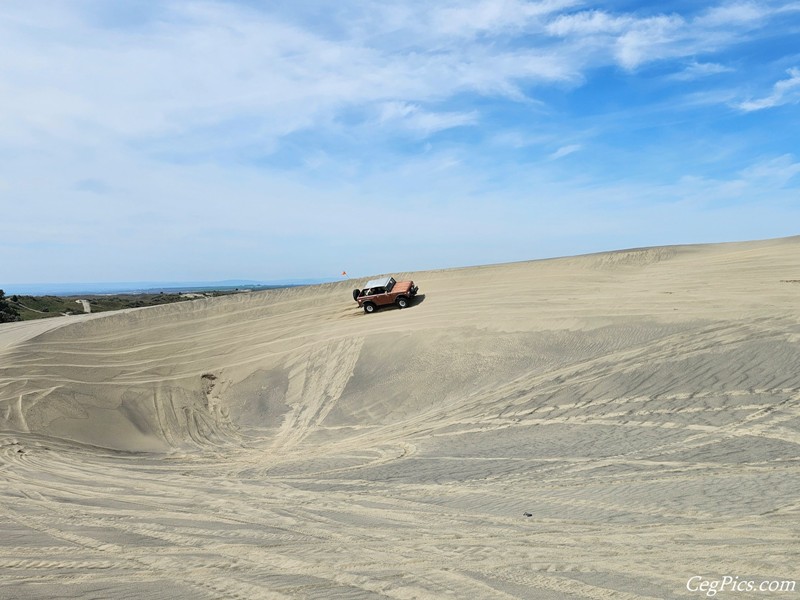 Juniper Dunes