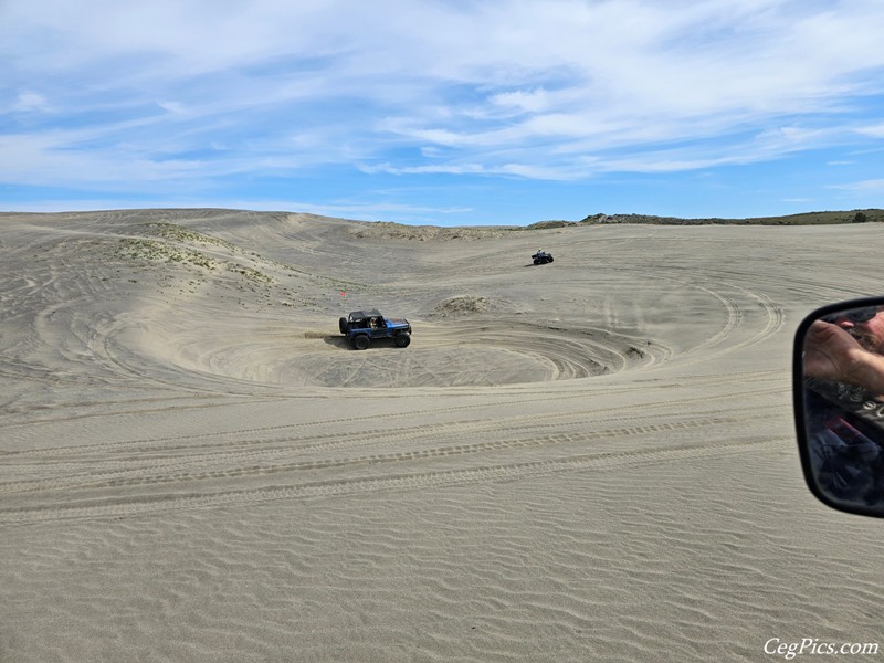 Juniper Dunes