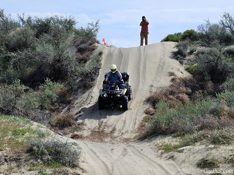 Juniper Dunes