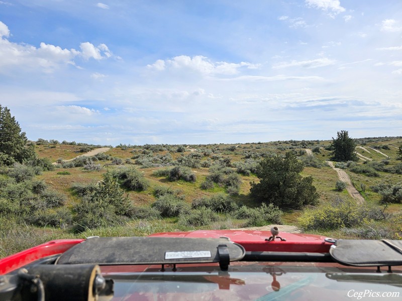 Juniper Dunes