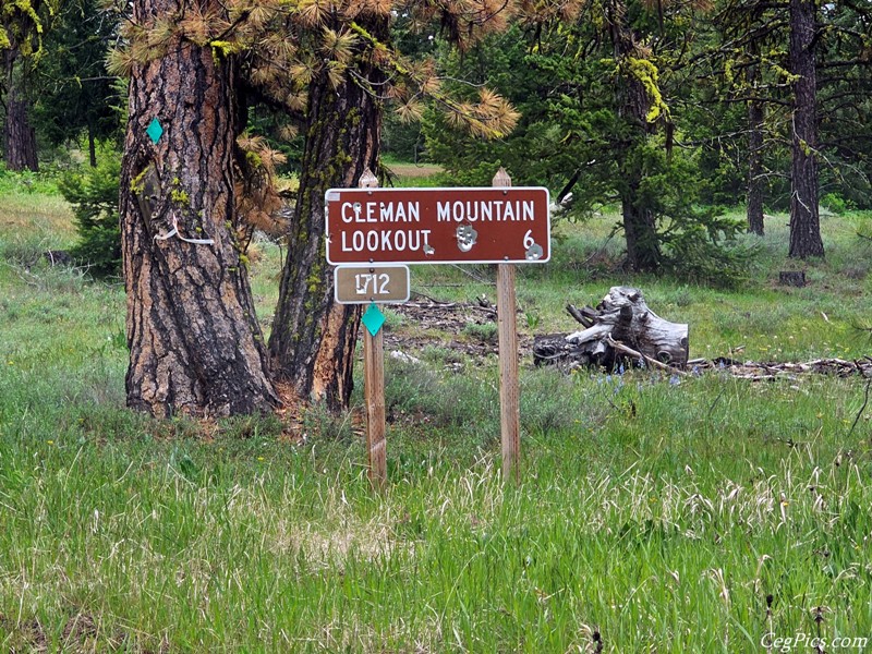 Cleman Mountain