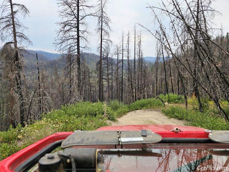 Clover Springs 4x4 Trail