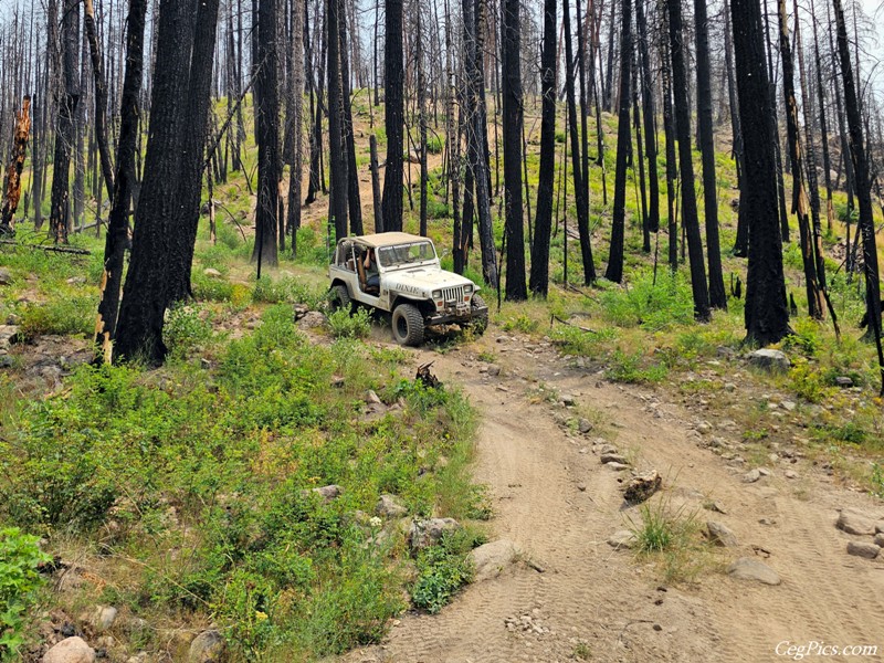 Clover Springs 4x4 Trail