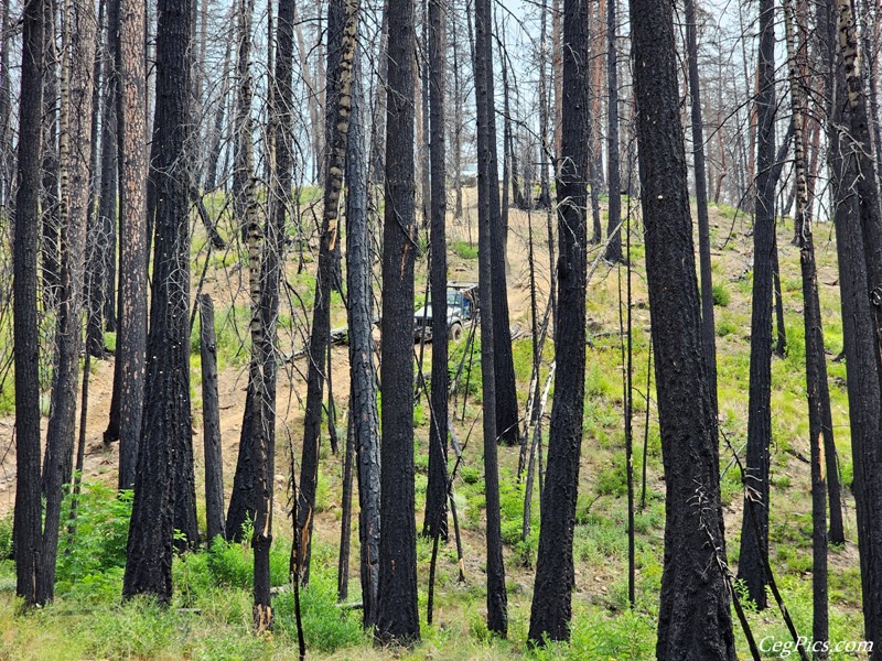 Clover Springs 4x4 Trail