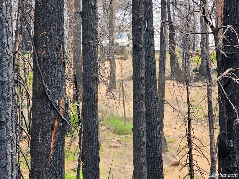 Clover Springs 4x4 Trail