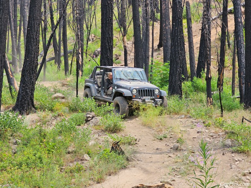 Clover Springs 4x4 Trail