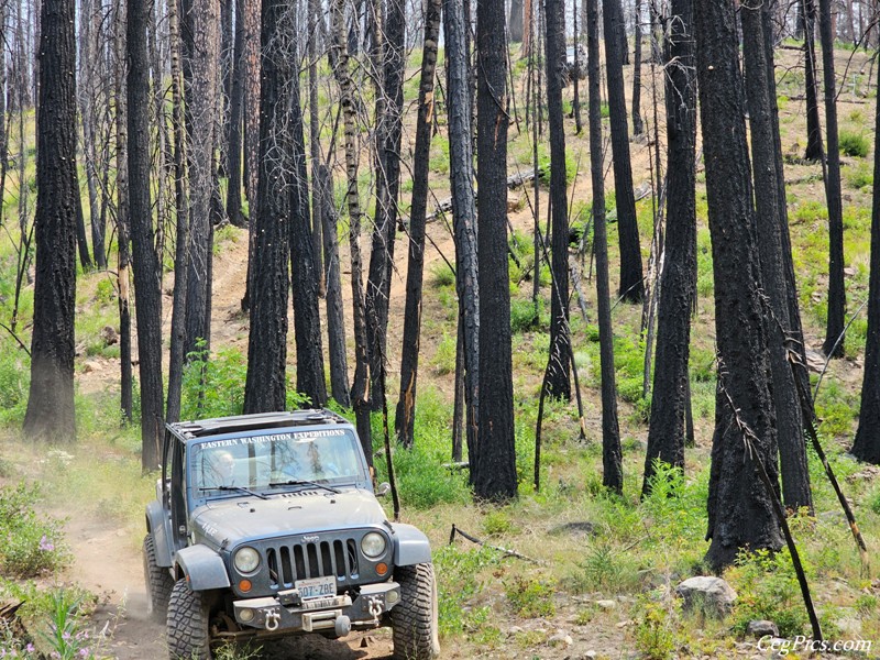 Clover Springs 4x4 Trail