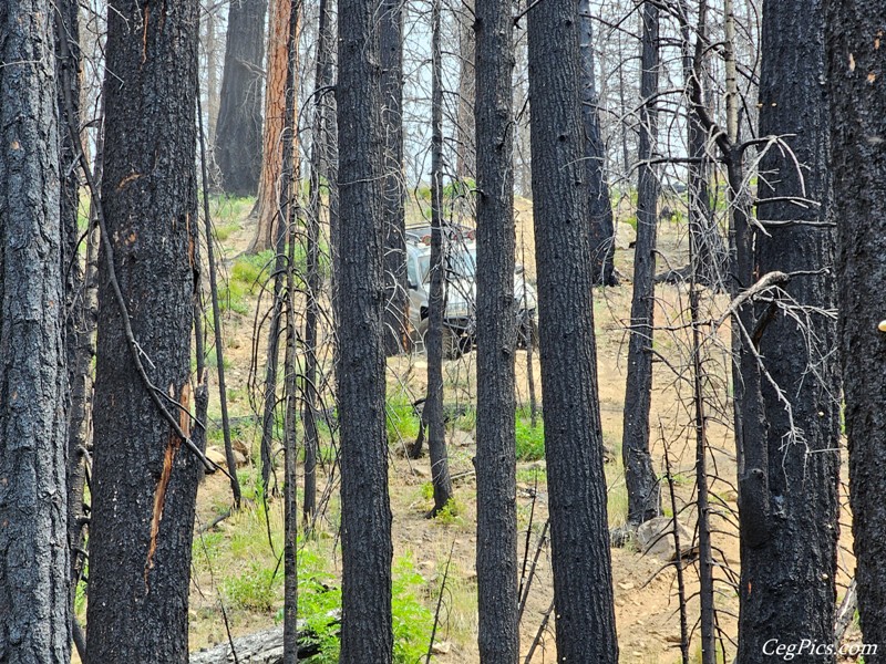 Clover Springs 4x4 Trail