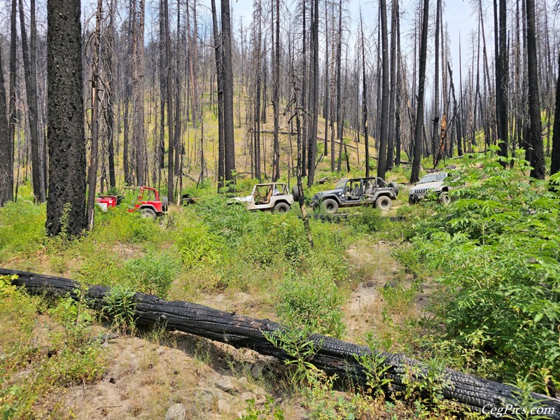 Clover Springs 4x4 Trail