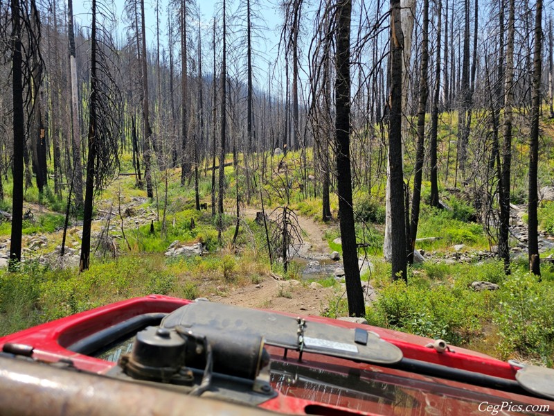 Clover Springs 4x4 Trail