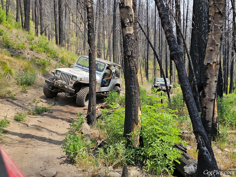 Clover Springs 4x4 Trail