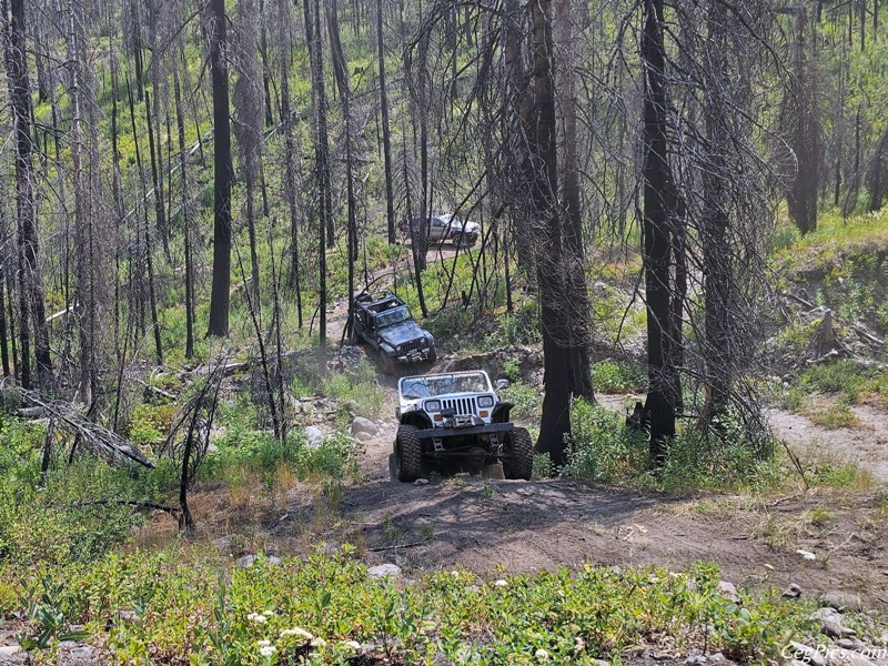 Clover Springs 4x4 Trail