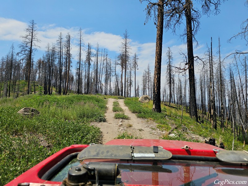 Clover Springs 4x4 Trail