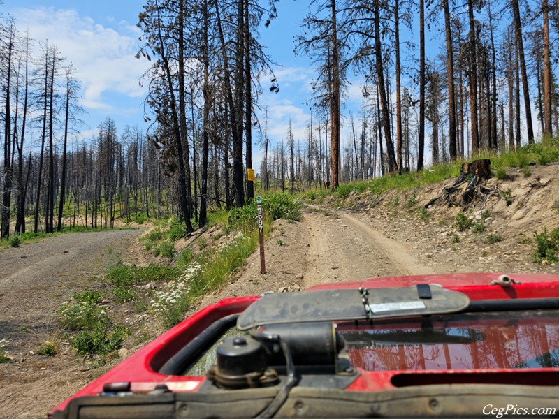 Clover Springs 4x4 Trail