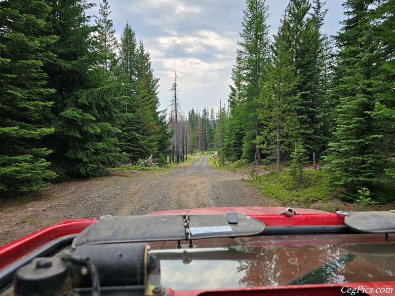 Clover Springs 4x4 Trail