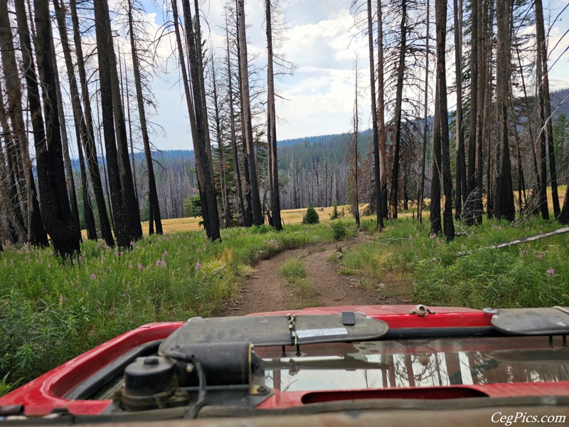 Clover Springs 4x4 Trail