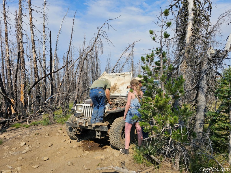 Clover Springs 4x4 Trail