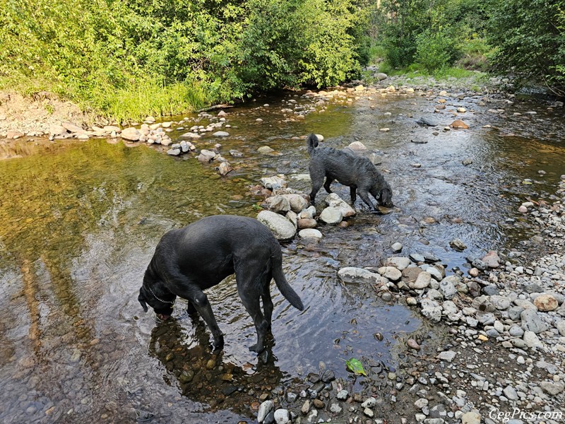 Clover Springs 4x4 Trail