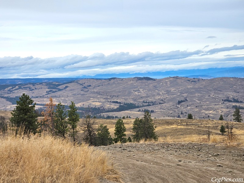 Wenas Wildlife Area