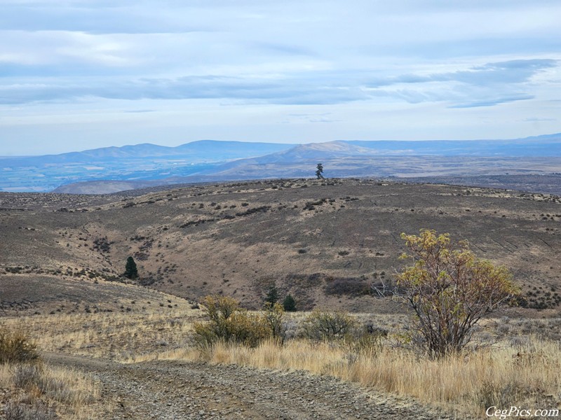 Wenas Wildlife Area