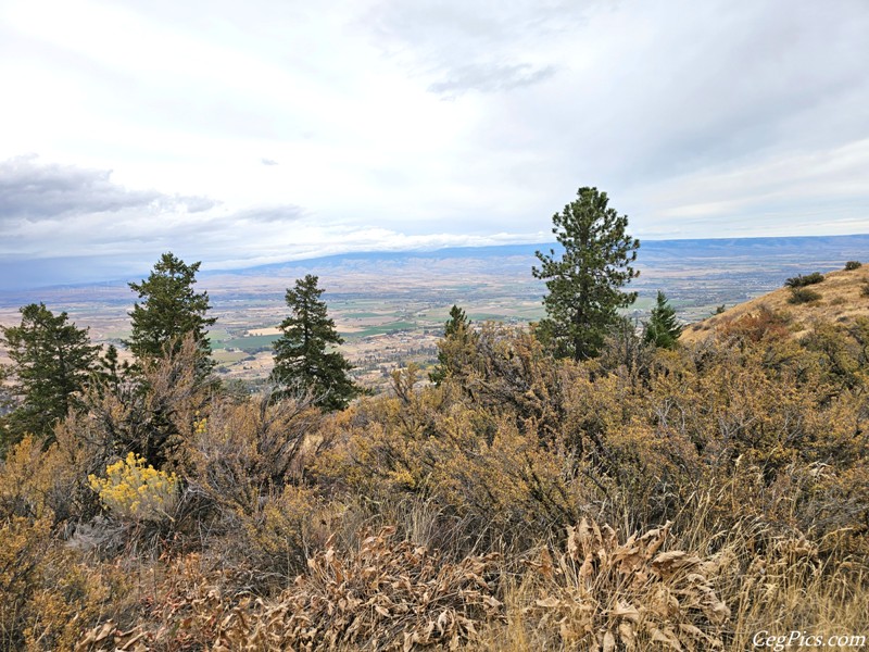 Wenas Wildlife Area