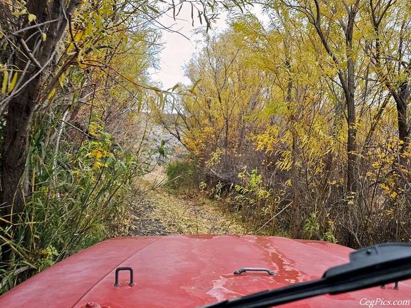 Whiskey Dick Wildlife Area