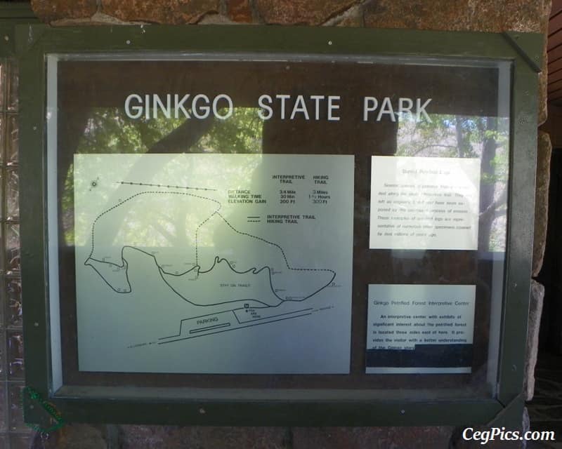 Photos: Exploring Vantage Road Trip: Ginkgo Petrified Forest State Park/Wanapum Recreational Area 28