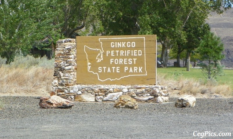 Photos: Exploring Vantage Road Trip: Ginkgo Petrified Forest State Park/Wanapum Recreational Area 31