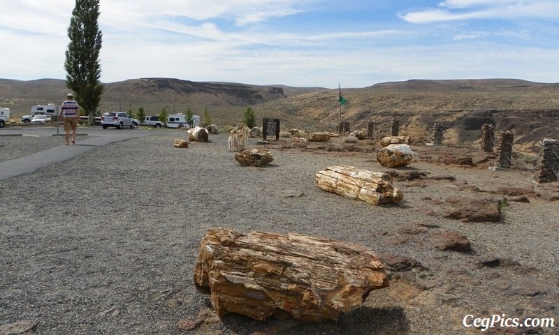 Photos: Exploring Vantage Road Trip: Ginkgo Petrified Forest State Park/Wanapum Recreational Area 40