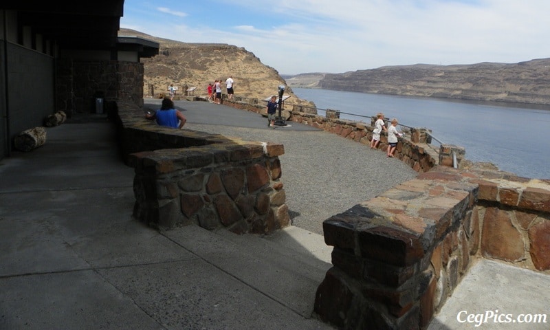 Photos: Exploring Vantage Road Trip: Ginkgo Petrified Forest State Park/Wanapum Recreational Area 43