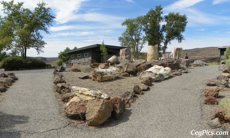 Photos: Exploring Vantage Road Trip: Ginkgo Petrified Forest State Park/Wanapum Recreational Area 55