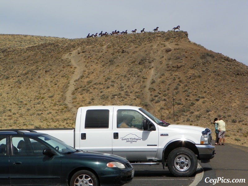 Photos: Exploring Vantage Road Trip: Ginkgo Petrified Forest State Park/Wanapum Recreational Area 60