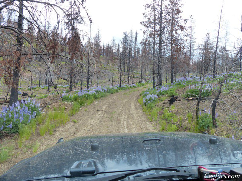 Photos: EWA Father’s Day Naneum 4×4 Run 18