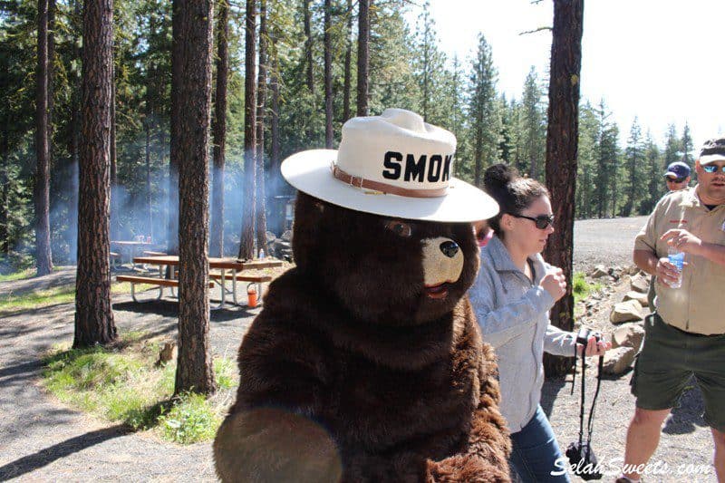 Smokey_the_Bear_20