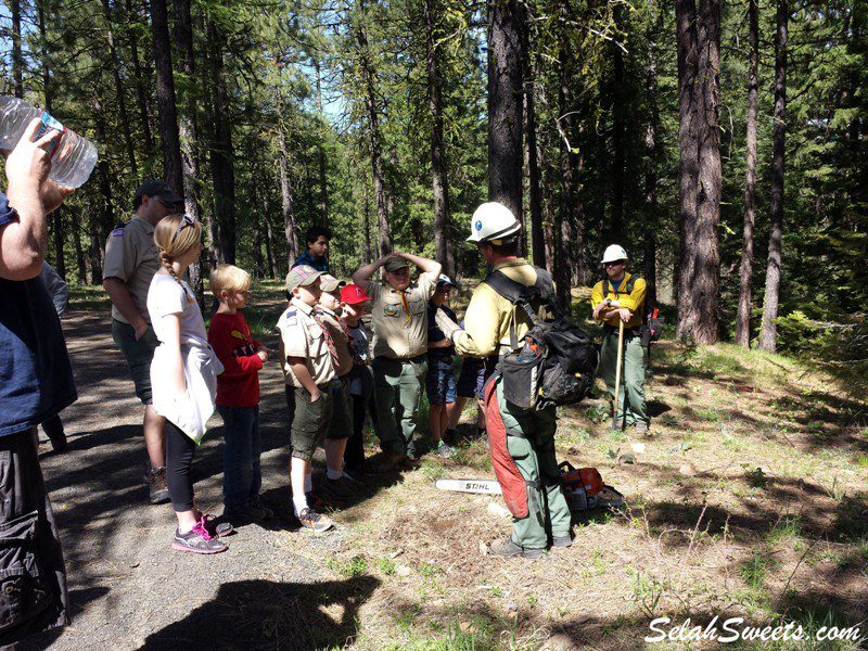 Smokey Bear