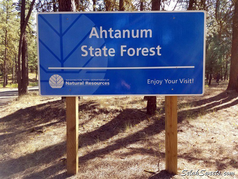 Ahtanum State Forest