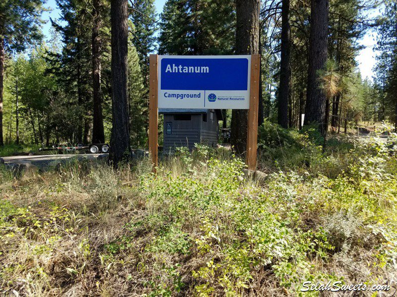 Ahtanum State Forest