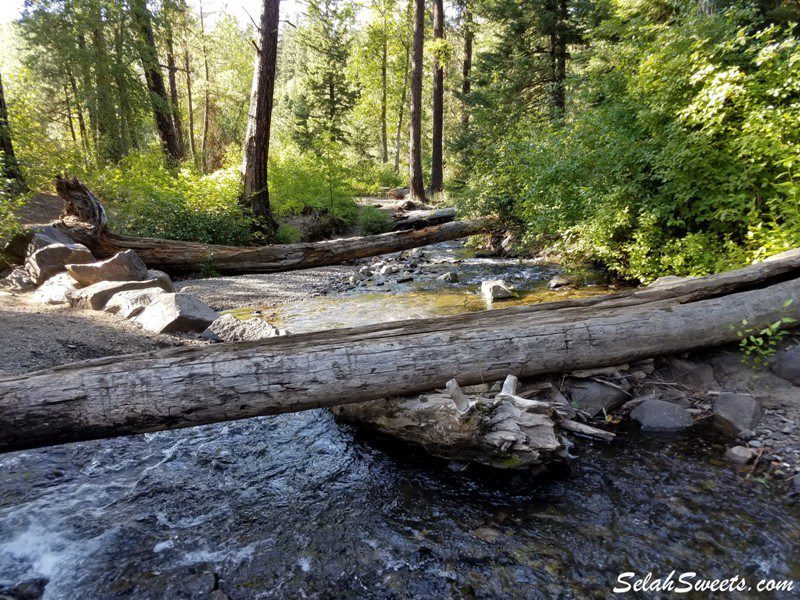 Ahtanum State Forest