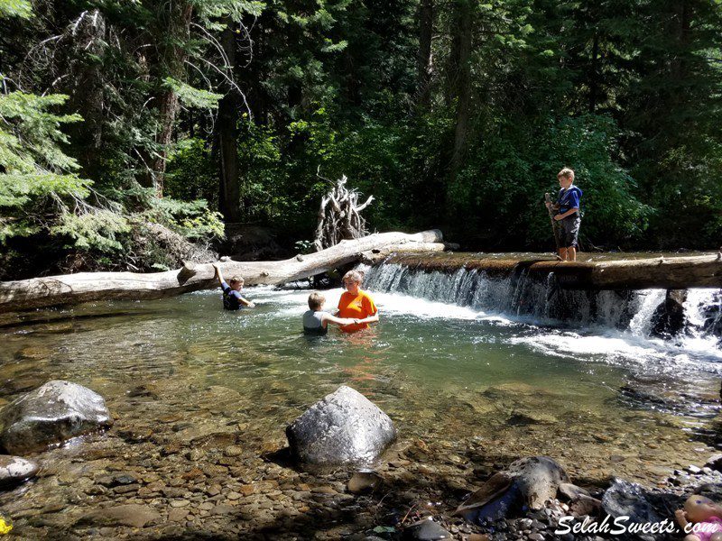 Ahtanum State Forest