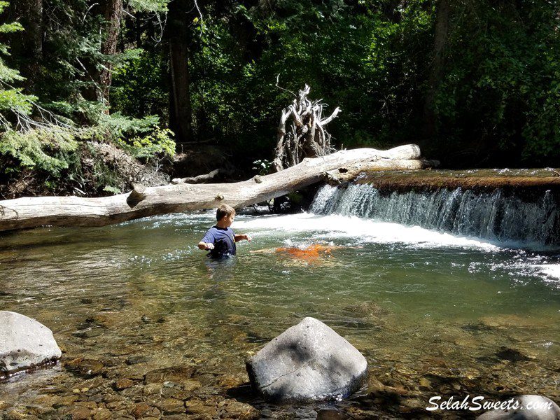 Ahtanum State Forest