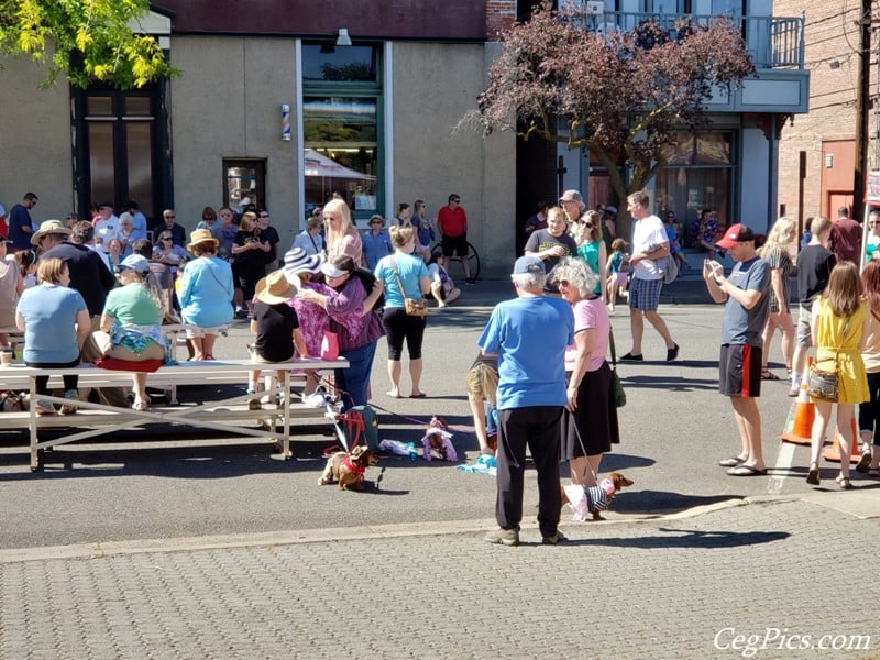 Photos: Ellensburg Germanfest 2