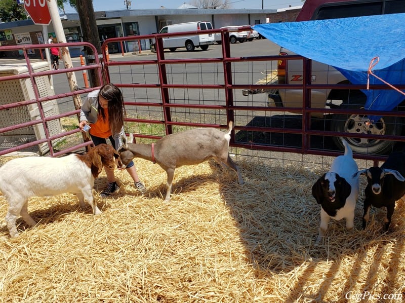 Photos: 2019 Highland Country Fair 183