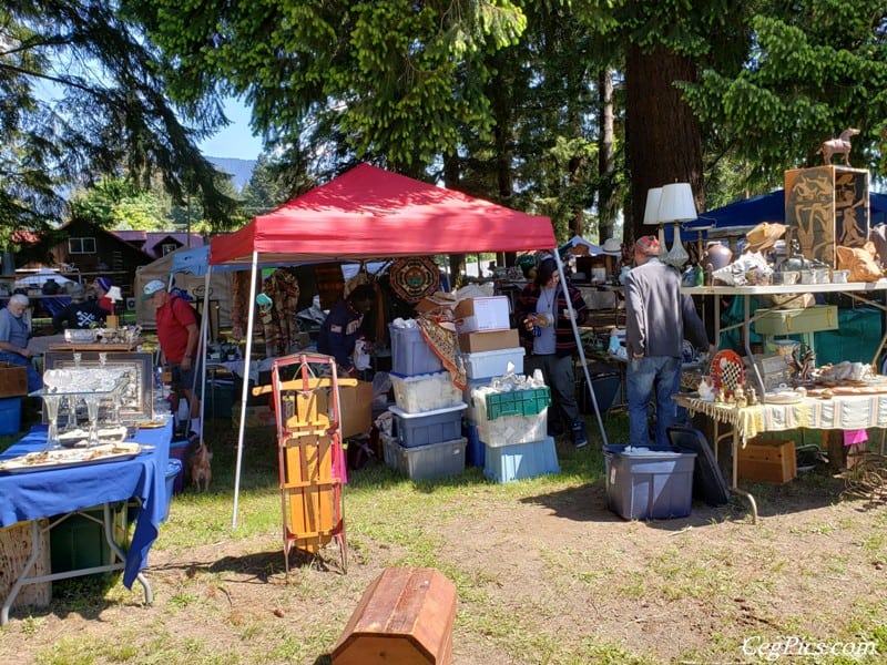 Photos: 2019 Packwood Memorial Day Weekend Flea Market 12