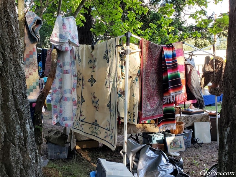 Photos: 2019 Packwood Memorial Day Weekend Flea Market 36