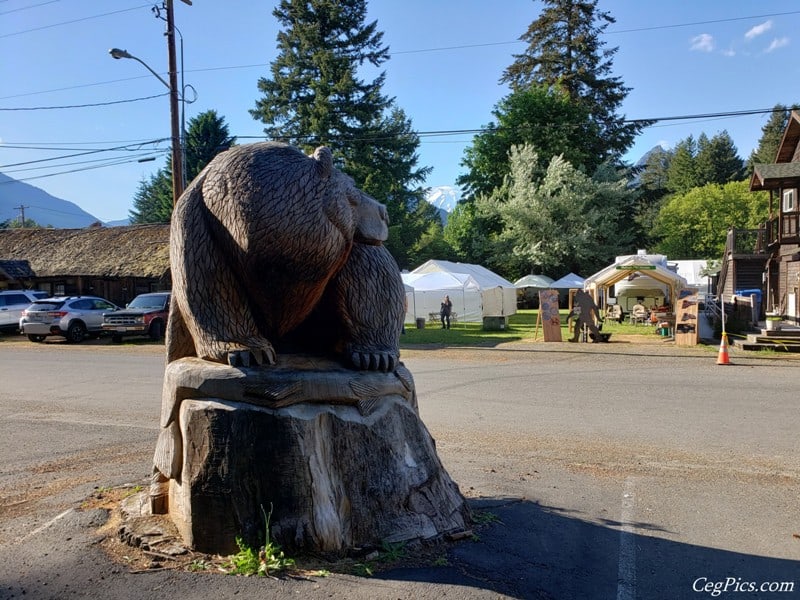 Photos: 2019 Packwood Memorial Day Weekend Flea Market 40