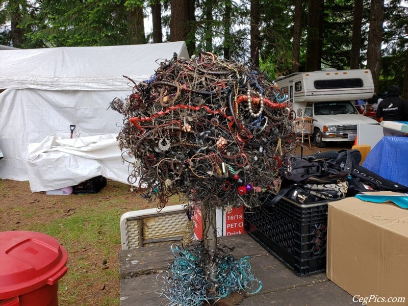 Photos: 2019 Packwood Memorial Day Weekend Flea Market 57