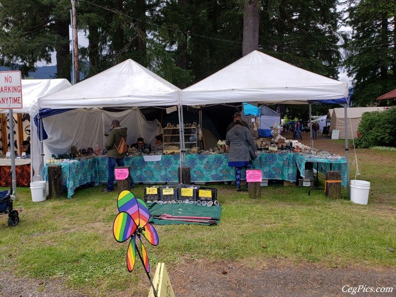 Photos: 2019 Packwood Memorial Day Weekend Flea Market 77