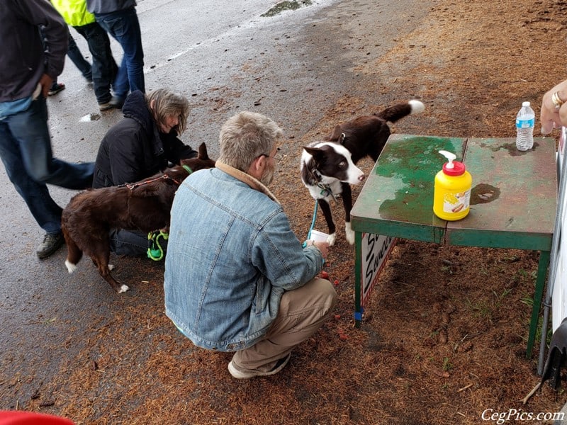 Photos: 2019 Packwood Memorial Day Weekend Flea Market 118